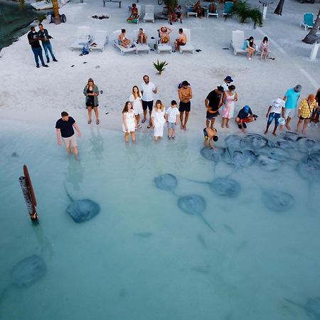 Hidden Treasure Vacation Home Blue Bay Cottage Caye Caulker Kültér fotó