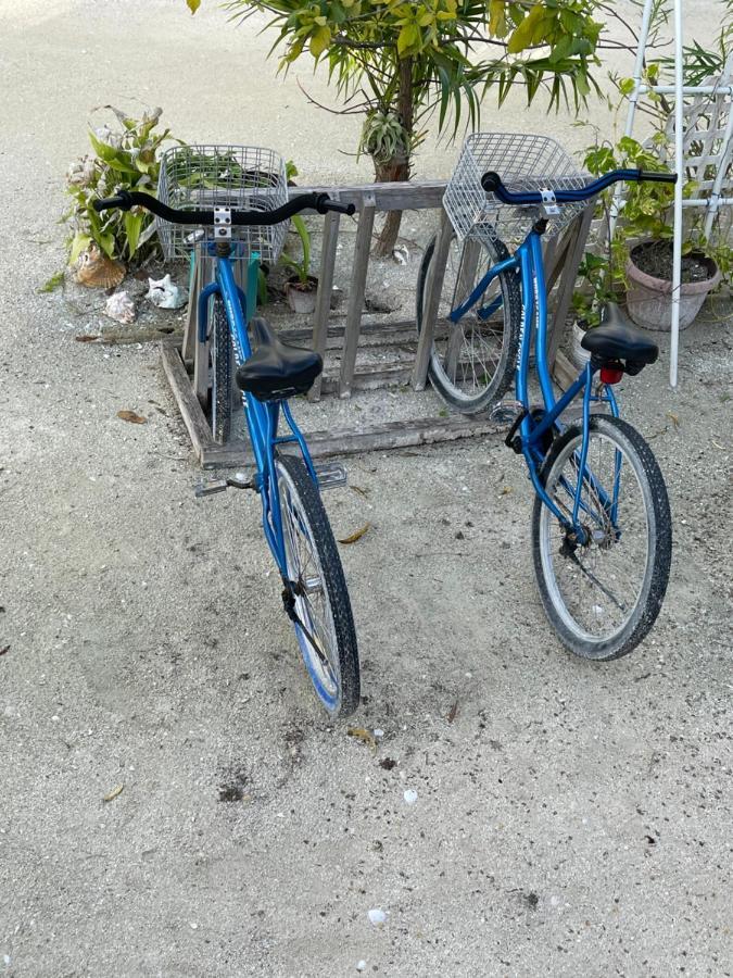 Hidden Treasure Vacation Home Blue Bay Cottage Caye Caulker Kültér fotó